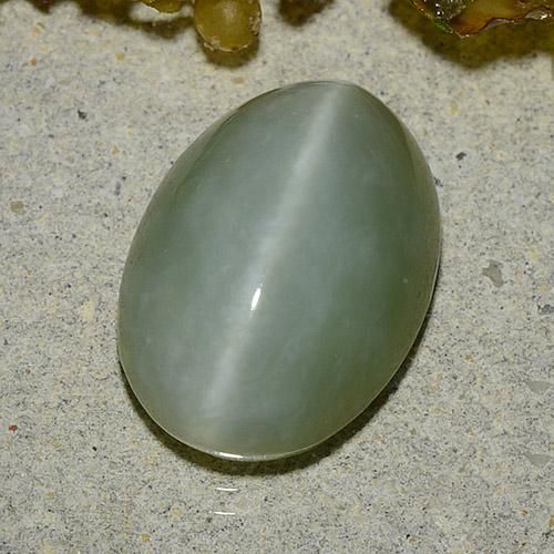 Actinolite Cat’s Eye 5.92ct Light Moss Green Actinolite