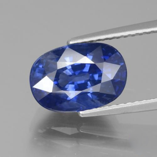 Cornflower Blue Sapphire | 4.81 Carat